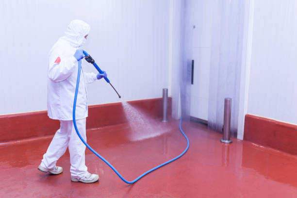 Best Sidewalk and Walkway Cleaning  in Centerfield, UT